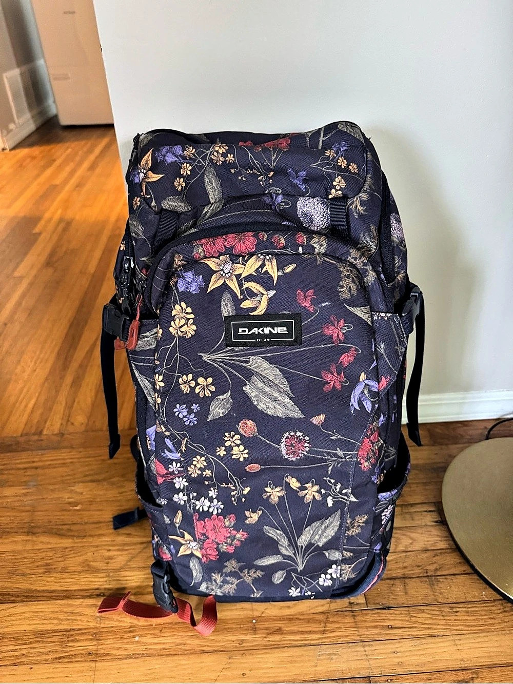 Dakine Ski Backpack